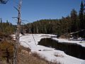 Longpine creek winter