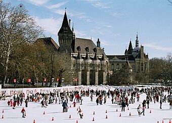 Mujegpalya Ice Rink