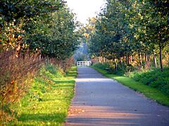 NL-Uden-Zuid-Groen op zuid-Fietspad