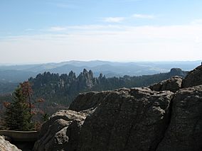 Needles from Harney Peak.JPG