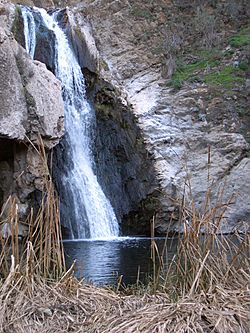 Paradise Falls and pond