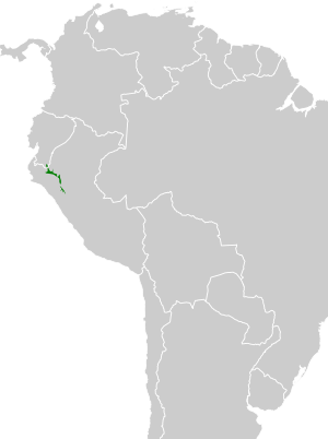 Patagioenas oenops map.svg