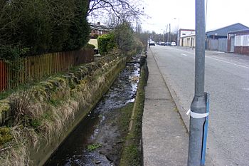 Pencil Brook.JPG