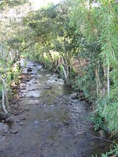 Quebrada agua blanca Berbeo