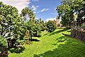 Rapperswil - Hirschpark - Schloss - Lindenhof 2011-06-19 15-11-56