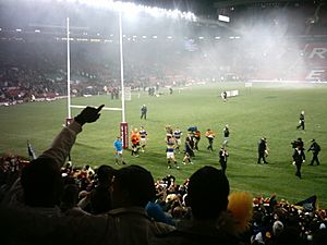 Rhinos2008