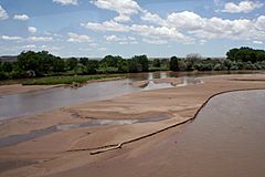 Rio Grande near Isleta