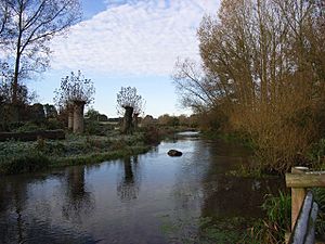 River Lambourn - geograph.org.uk - 273760.jpg