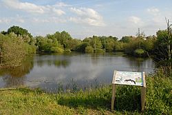 Rixton Clay Pits - geograph.org.uk - 1528337.jpg