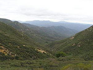 San Mateo Canyon Wilderness