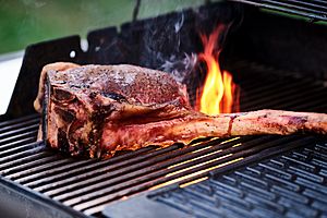 Searing of a Steak