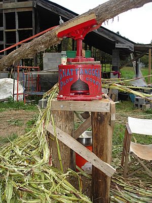 Sorghum cane juicer