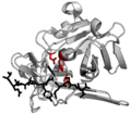 TEV protease summary