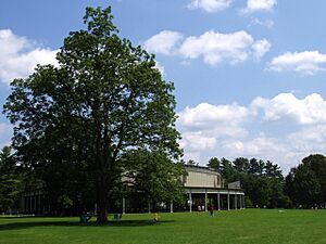 Tanglewood Music Shed and Lawn, Lenox, MA