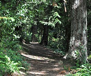 Tryon-marshall forest path