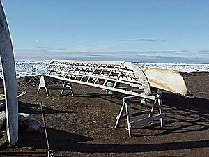 Umiaq wood frame