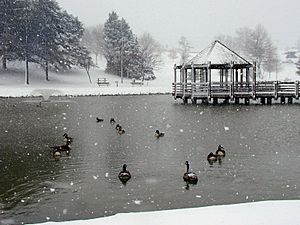 Vlasis Park, Ballwin, Missouri