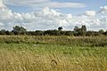 Wicken-Fen-Hide