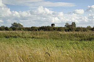 Wicken-Fen-Hide.jpg