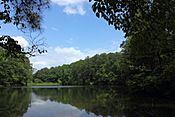 Aldridge Gardens Lake.jpg