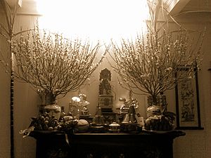 Ancestors Altar or Gods Altar in Tet, North Vietnam