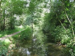 Andover canal near romsey