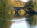 Approaching Godstow Bridge - geograph.org.uk - 1778636