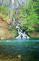 Waterfall in a beech forest