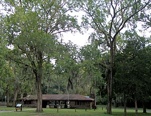 Buescher state park2 2007