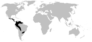 Centrolenidae range.PNG