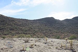 Cerro de Trincheras