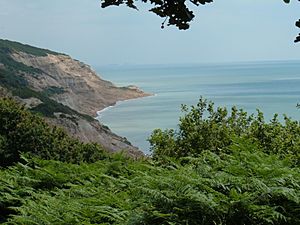 CovehurstBayfromCliffs2005