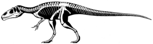 Eustreptospondylus oxoniensis skeleton