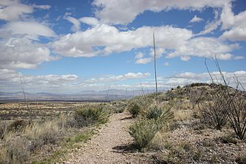 Foothills Loop Trail, Whetstone Mountains