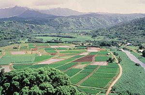 Hanalei National Wildlife Refuge (4993652959)