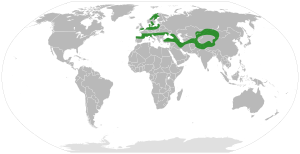 Hippophae distribution.svg