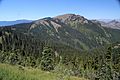 Hurricane Ridge Olympic N.P. 05