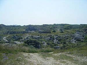 King Barrow Quarry, Portland