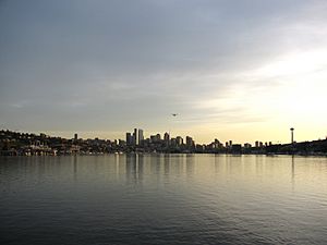 Lake Union Plane