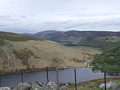 Lough Dan looking south-east May 2015 02