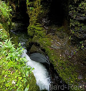 Lydford Gorge (detail)