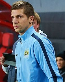 Matija Nastasić 2013