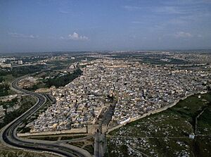 Meknes-medina-aerial-view