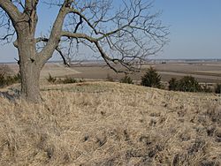 Mississippi floodplain iowa