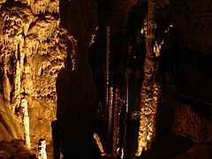 NaturalBridgeCaverns7