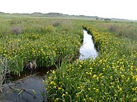 Niobrara headwaters