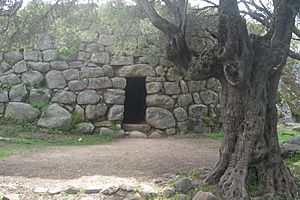 Nuraghe-albucciu-2