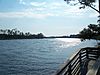 Ochlockonee River SP river02.jpg