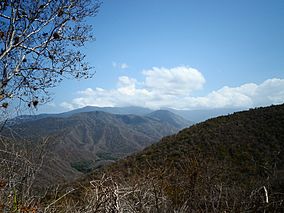 Parque nacional Henri Pittier vista.jpg