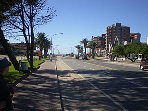 Avenida Bunge in 2008